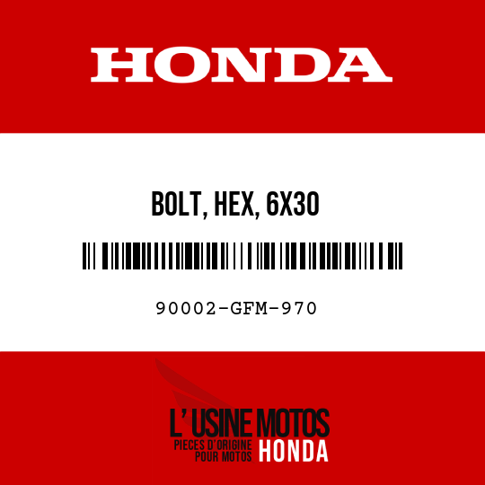 image de 90002-GFM-970 BOLT, HEX, 6X30