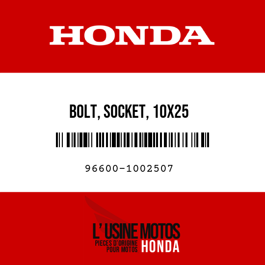 image de 96600-1002507 BOLT, SOCKET, 10X25